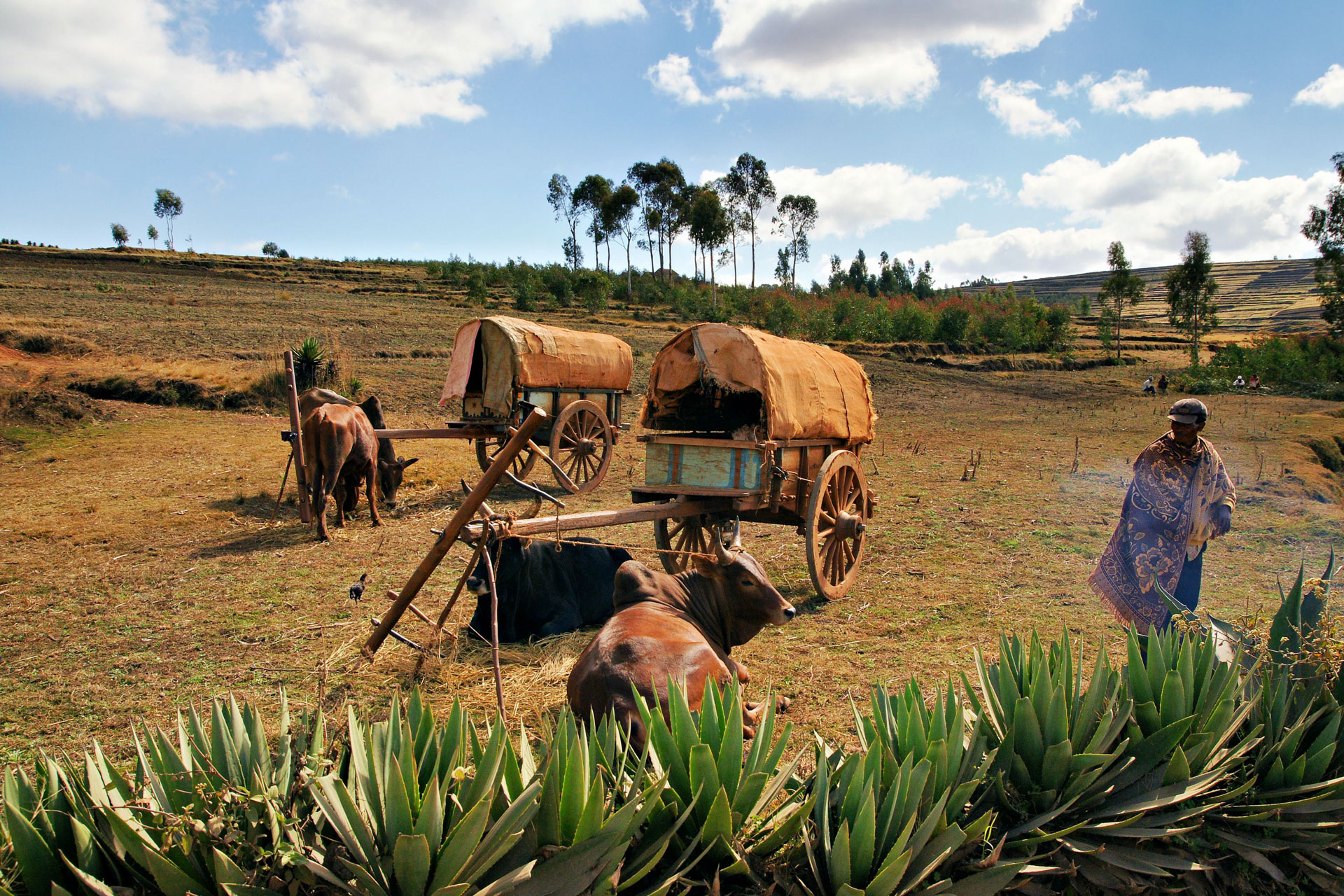 Wanderung vom Lac Tritriva zum Lac Andraikiba